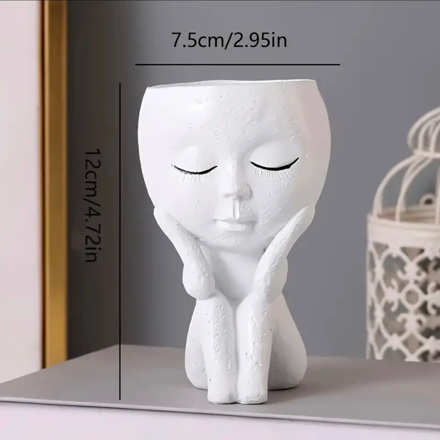 Charming Modern Indoor Flower Pot with Drainage