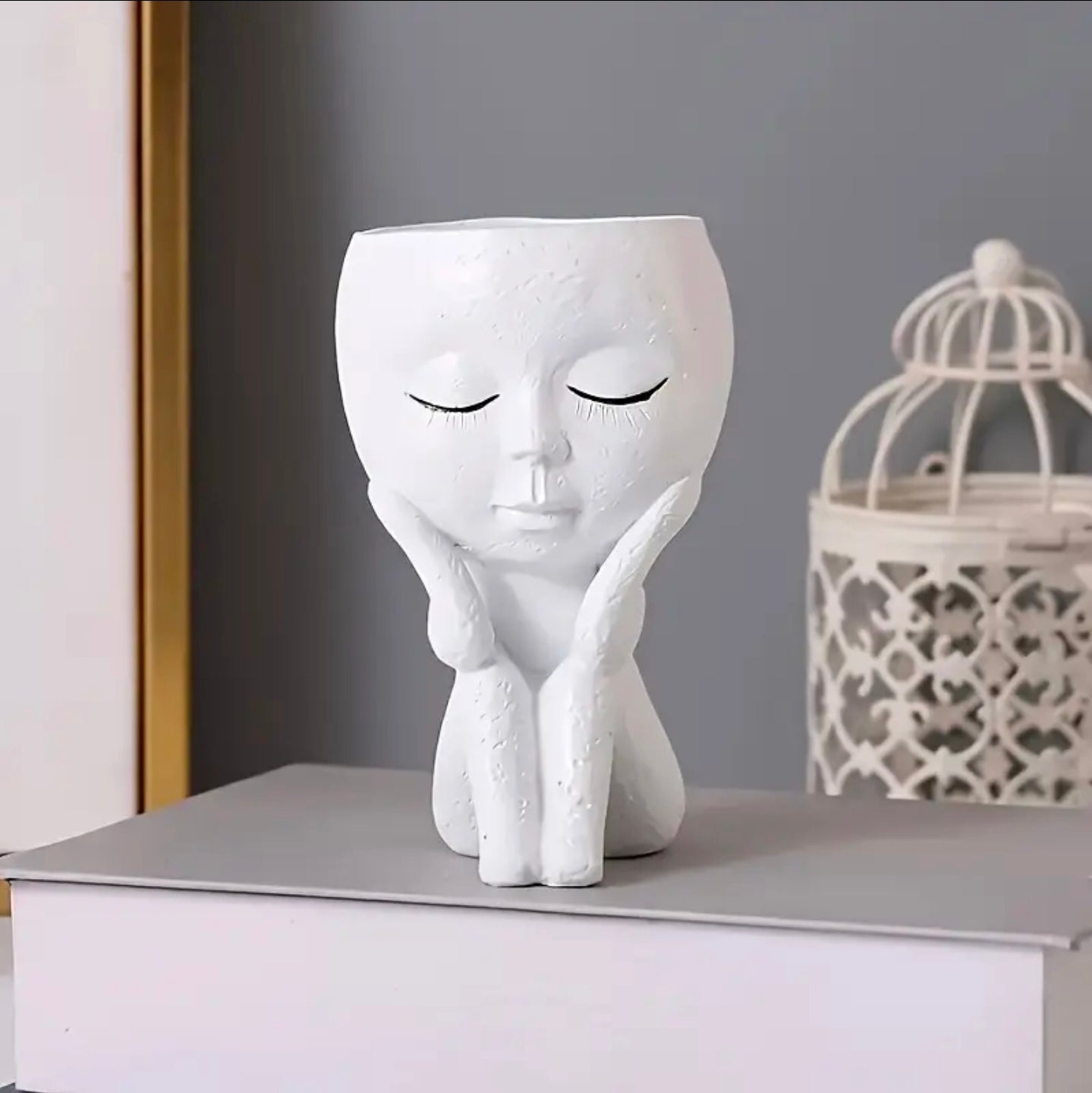 Charming Modern Indoor Flower Pot with Drainage